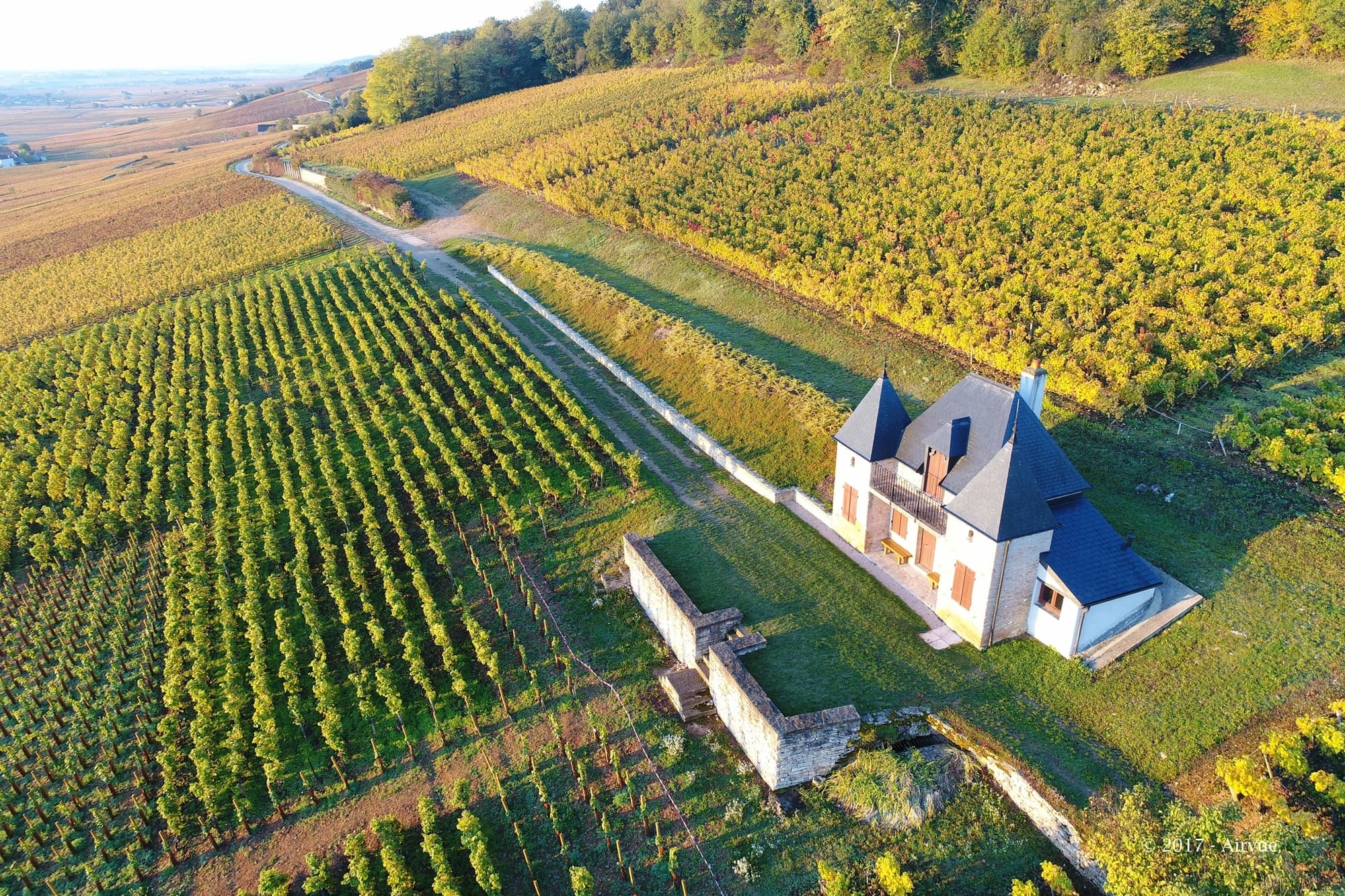 勃艮第葡萄酒深度之旅