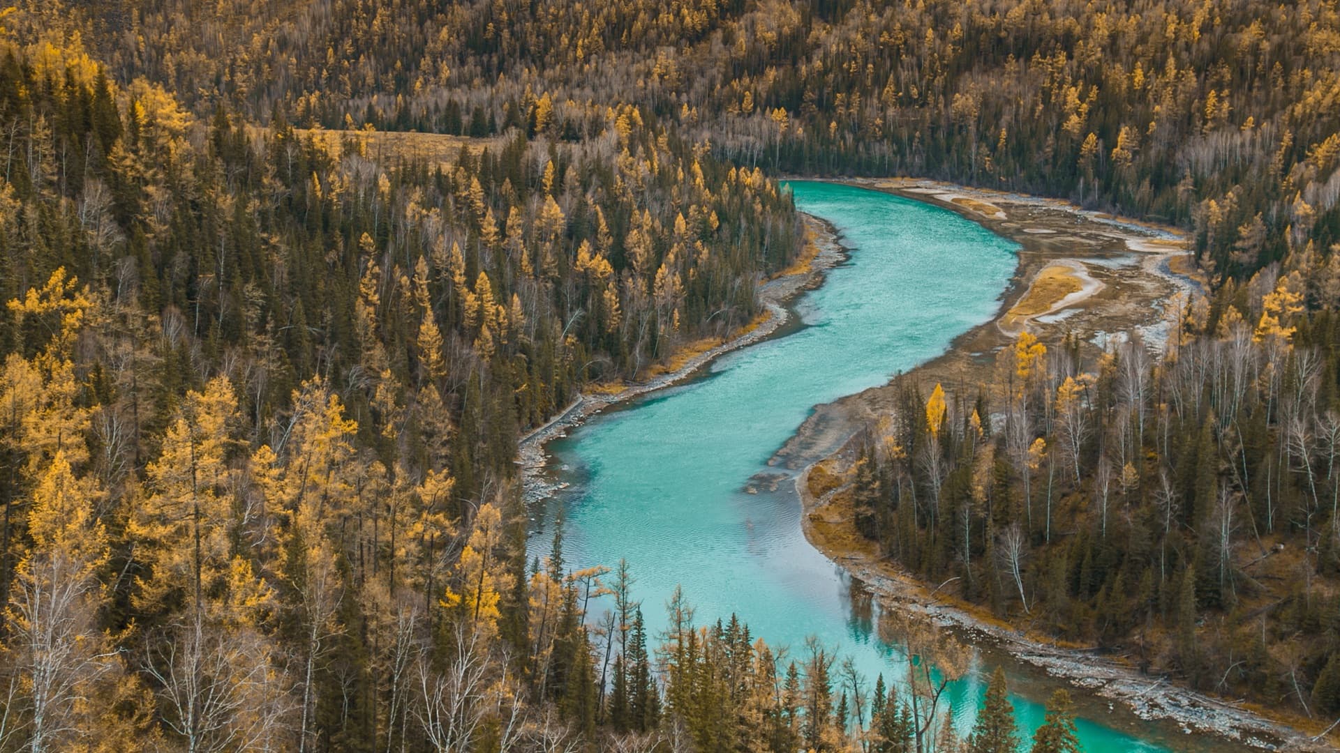 三村三面——喀纳斯阿勒泰秋色之旅