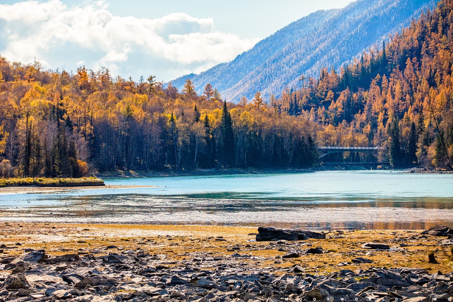 三村三面——喀纳斯阿勒泰秋色之旅 - 8