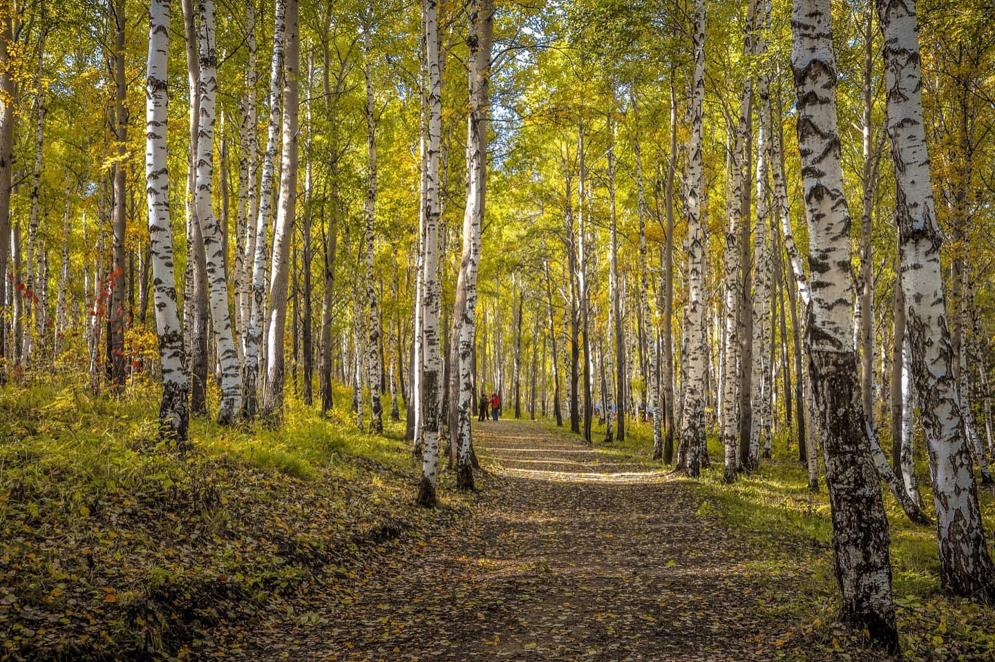 80°C到8°C——贝加尔湖极限体验游 - 2