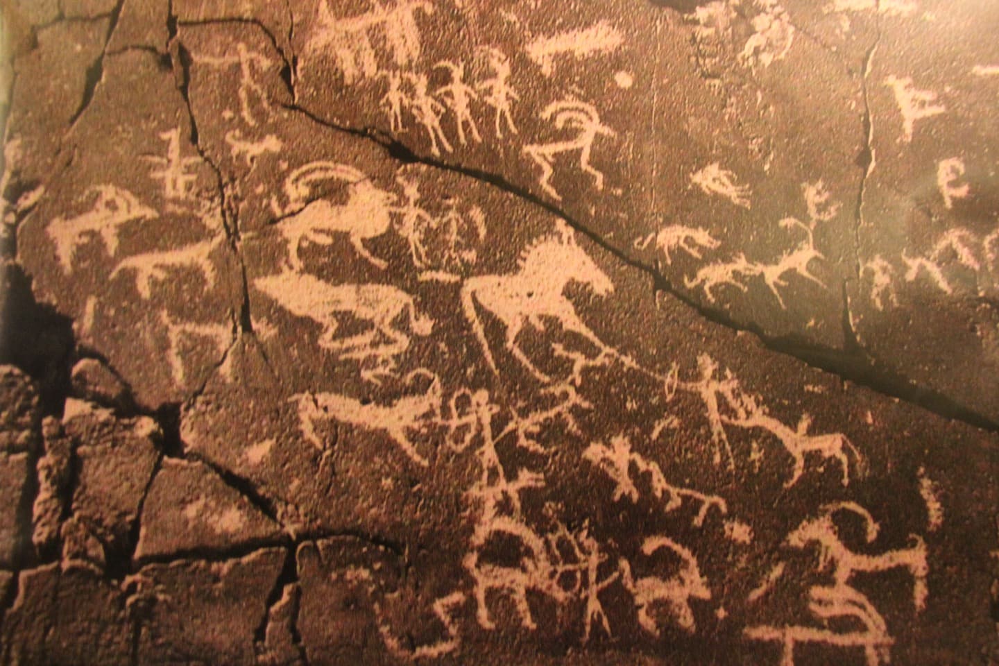 酒与沙——贺兰山东麓腾格里沙漠双主线 - 3