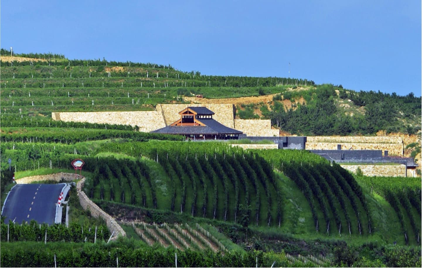 从啤酒到葡萄酒——青岛蓬莱海岸产区之旅 - 4