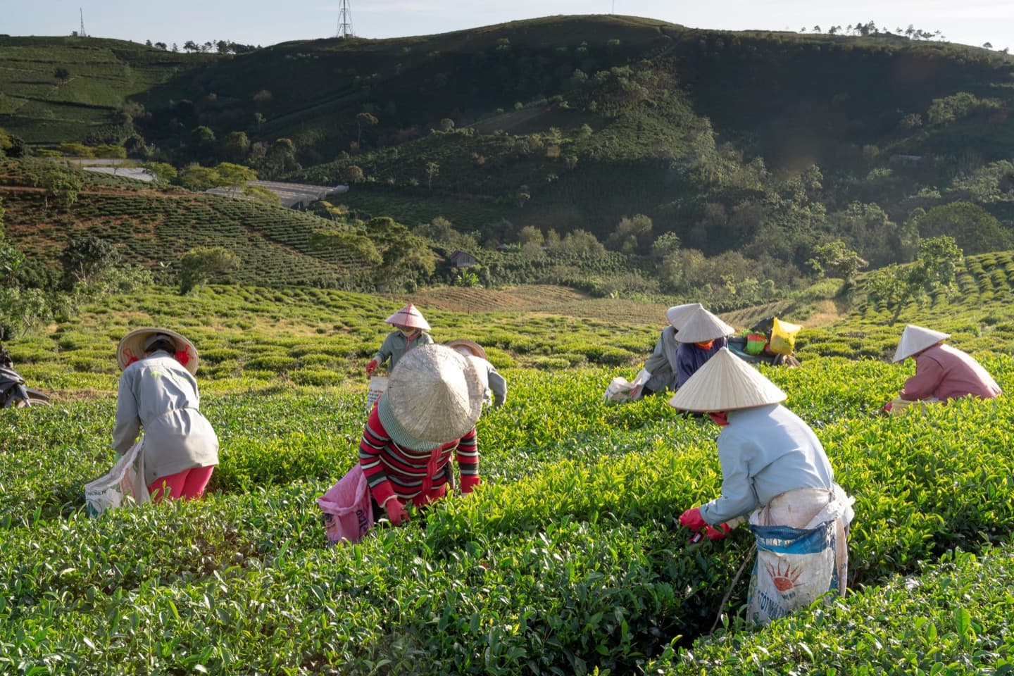 刺桐港——泉州安溪千年闽南游 - 1