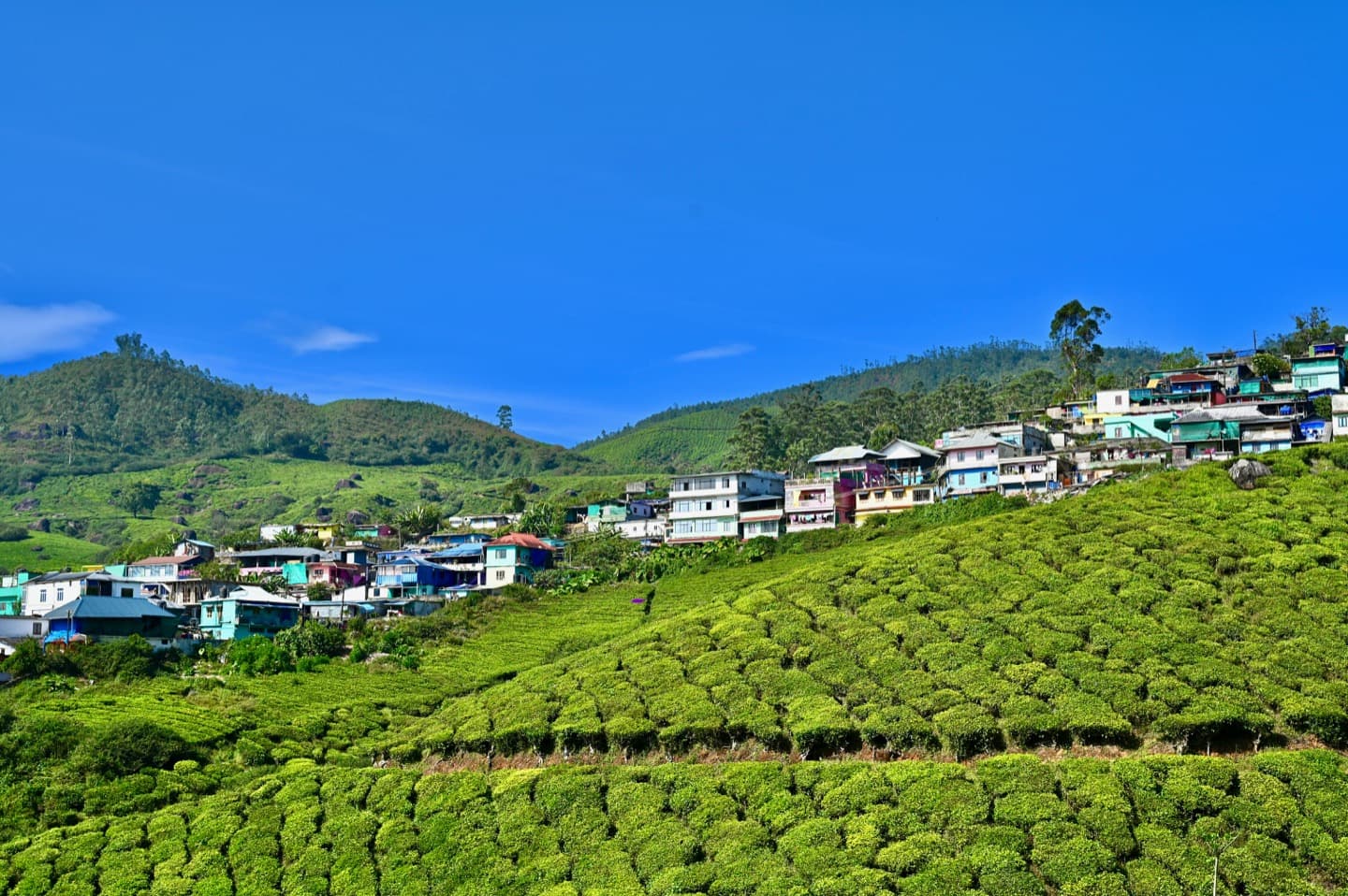 刺桐港——泉州安溪千年闽南游 - 2