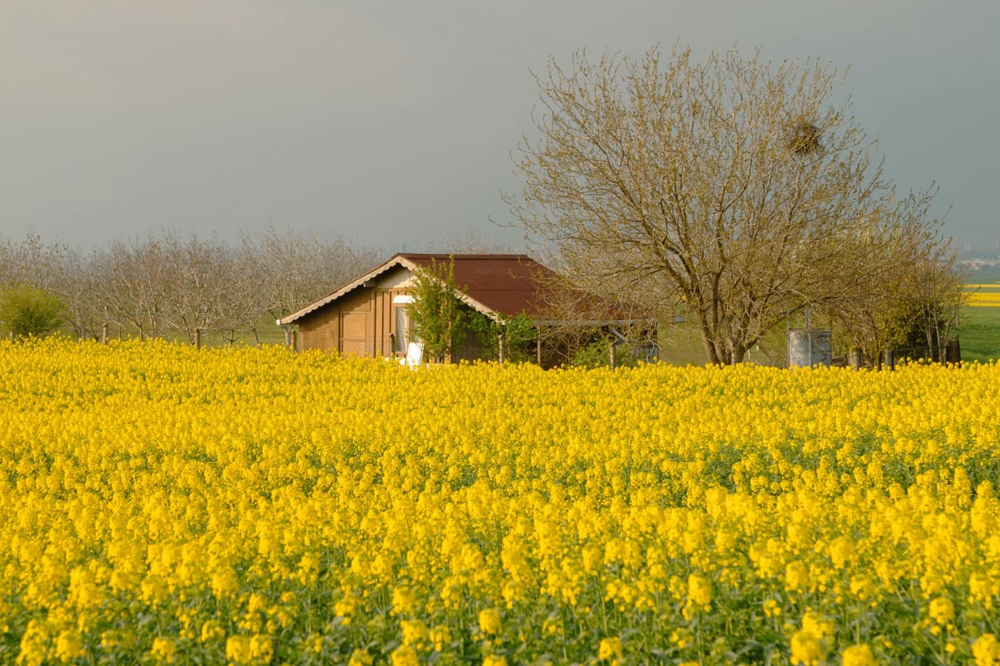 开窑时刻——景德镇婺源匠人对话游 - 2