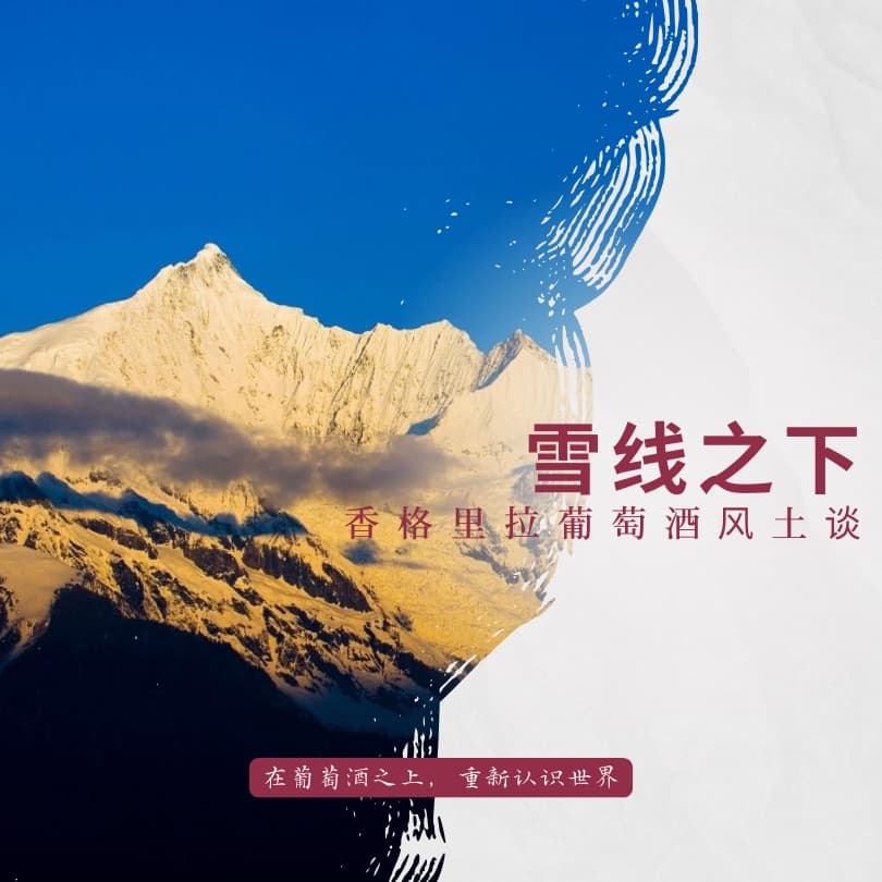 雪线之下——香格里拉葡萄酒风土谈 - 1